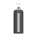 SIGG Glastrinkflasche Star 0,85l
