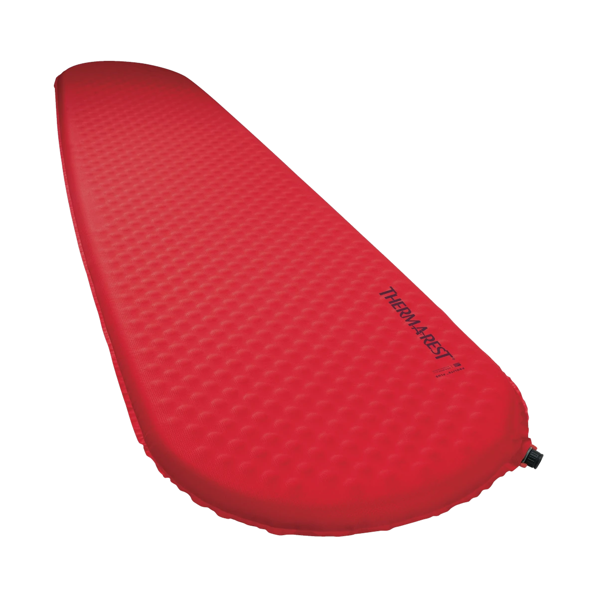Therm-a-Rest Pro Lite Plus large