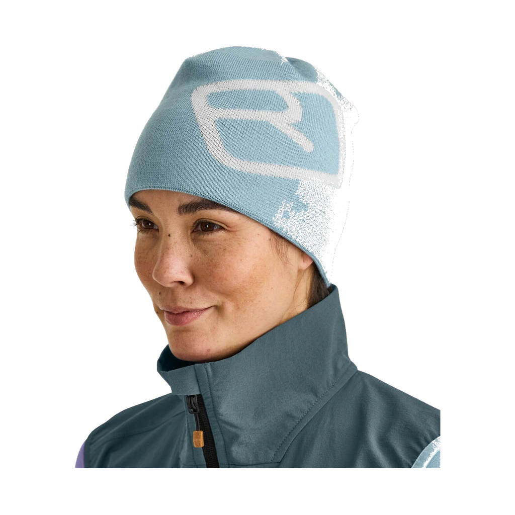 Pro Beanie GREY glacier grey