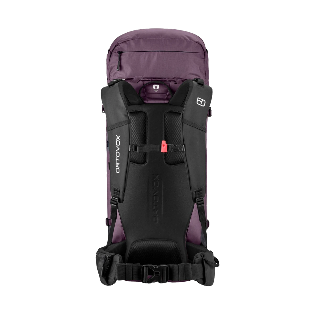 Peak Light 30 S VIOLET wild berry