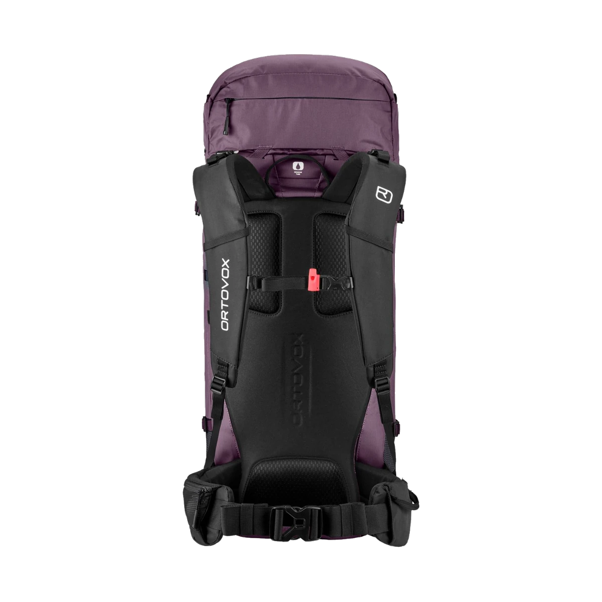 Peak Light 30 S VIOLET wild berry