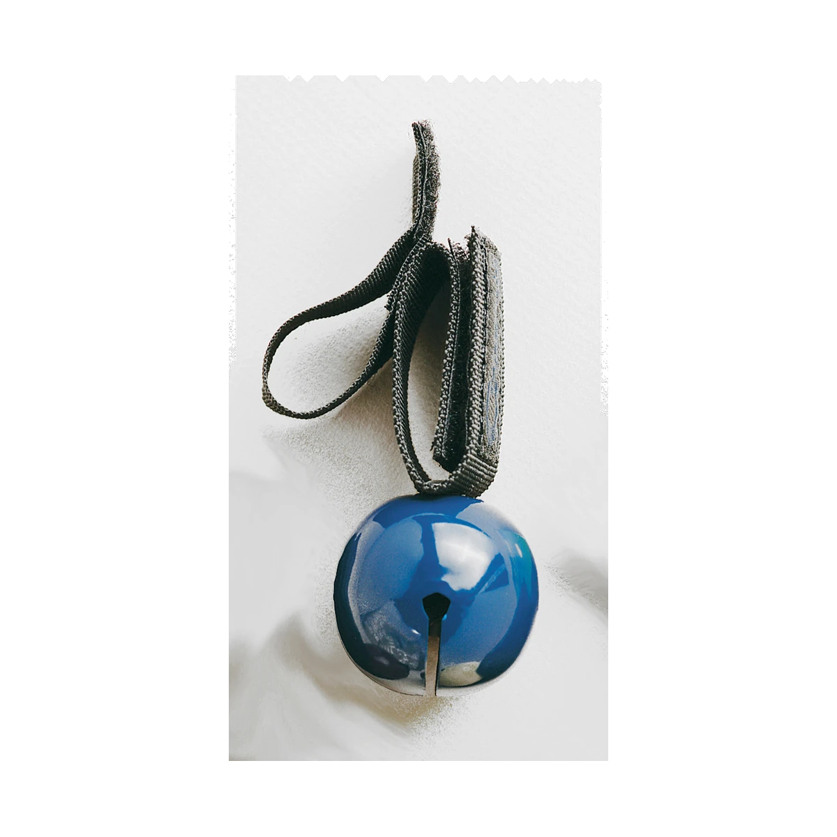 Coghlans Bären klocke BLUE