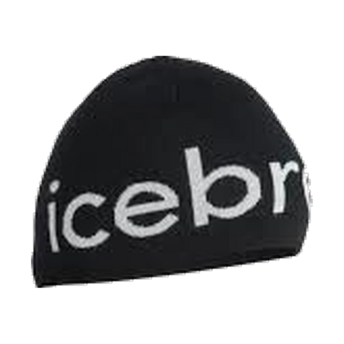 Icebreaker Beanie Alloy/Black