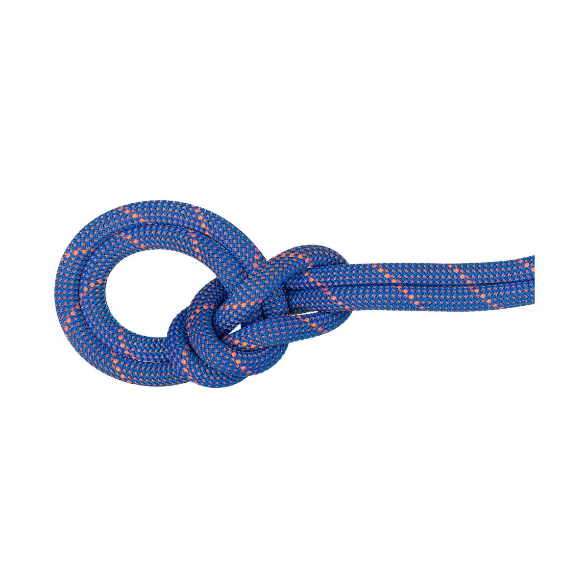 Mammut Crag Sender Dry 9.0, 60 m BLUE Kletterseil