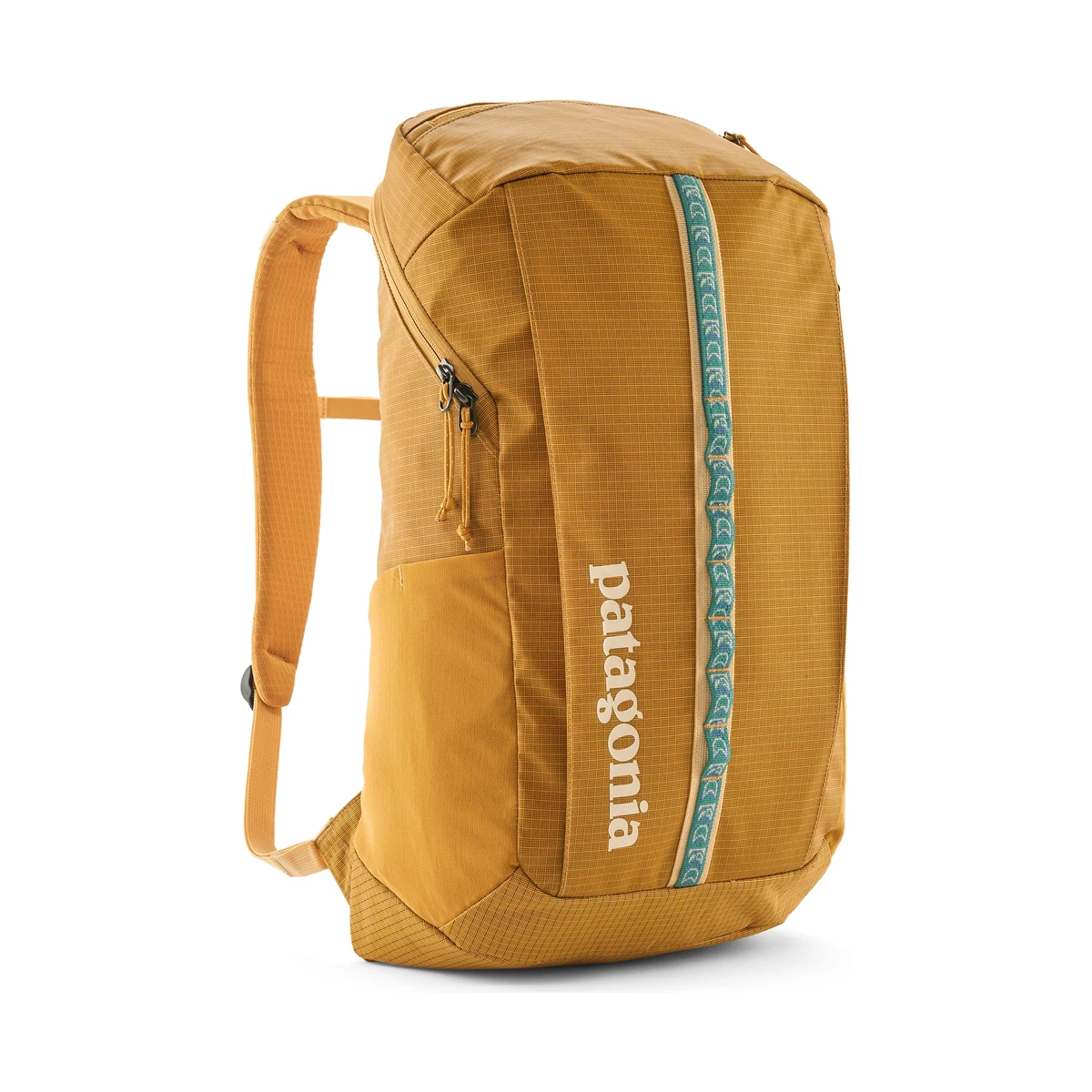 Patagonia Black Hole Pack 25L
