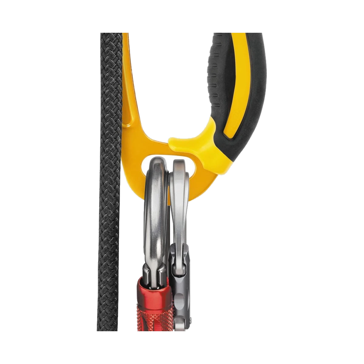 Petzl Ascension
