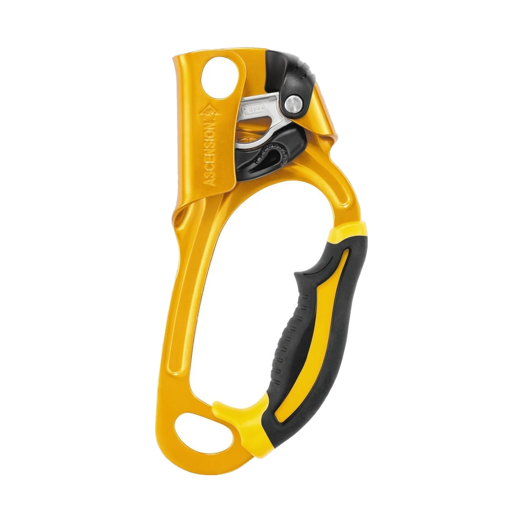 Petzl Ascension
