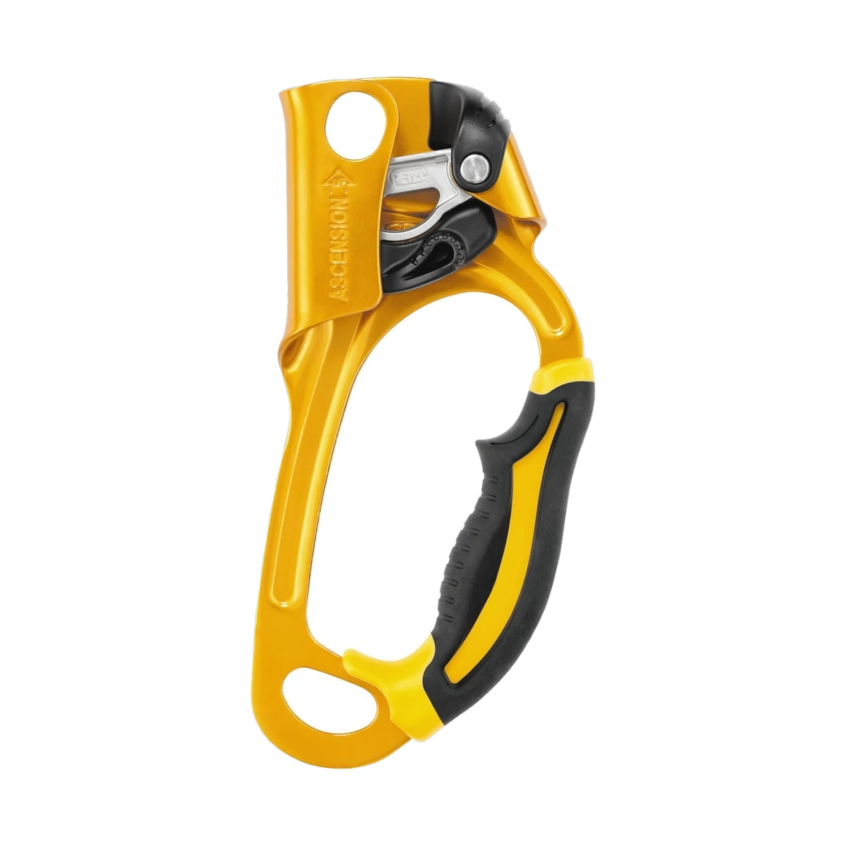 Petzl Ascension