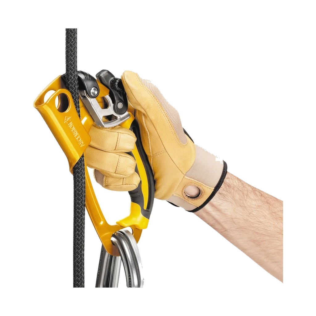 Petzl Ascension