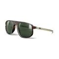 Julbo Ward Spectron pol. 3 Brown
